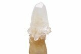 Cave Calcite Stalactite w/ Fluorescent Calcite Scepter - China #223525-3